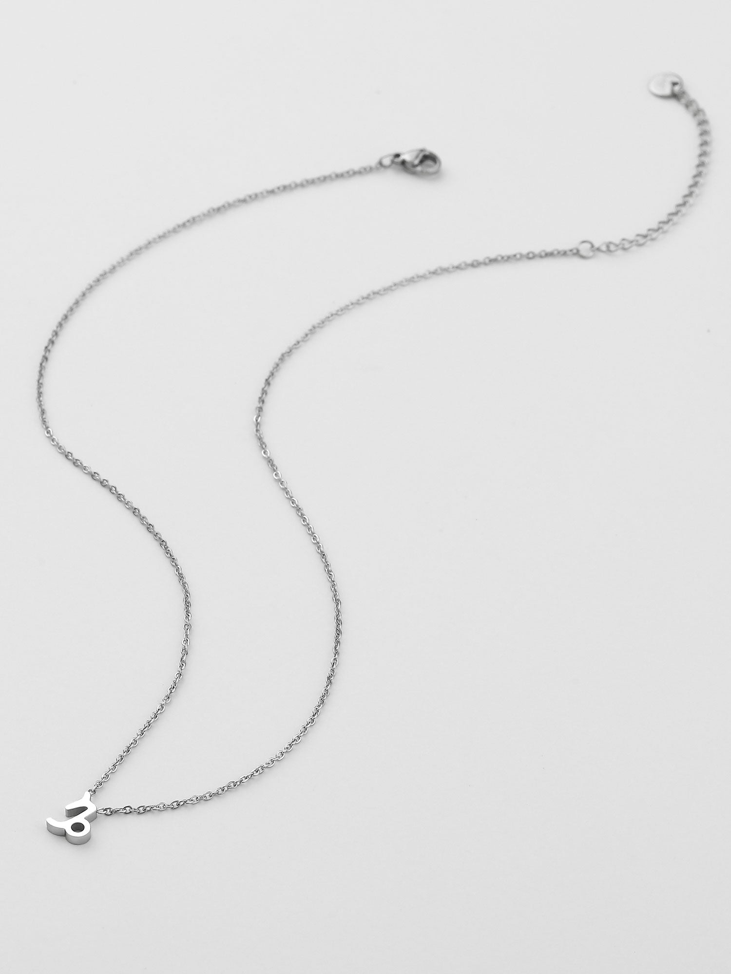 Collar Capricornio Plateado